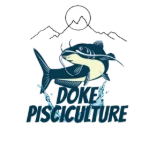 Doke pisciculture